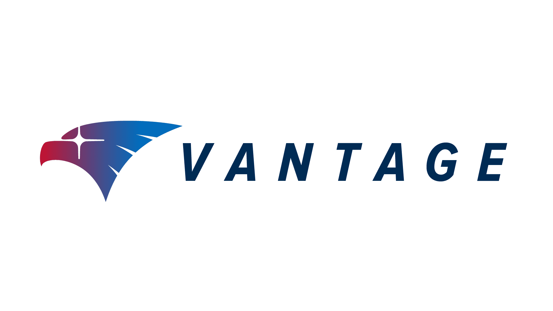 Vantage logo lockup, light background